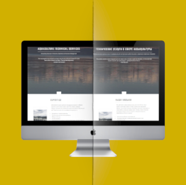 Website translation services